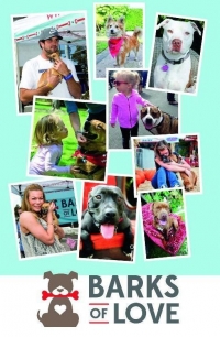 Dog Foster adoption marketing brochure
