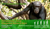 Leakey Foundation magnet with chimpanzee